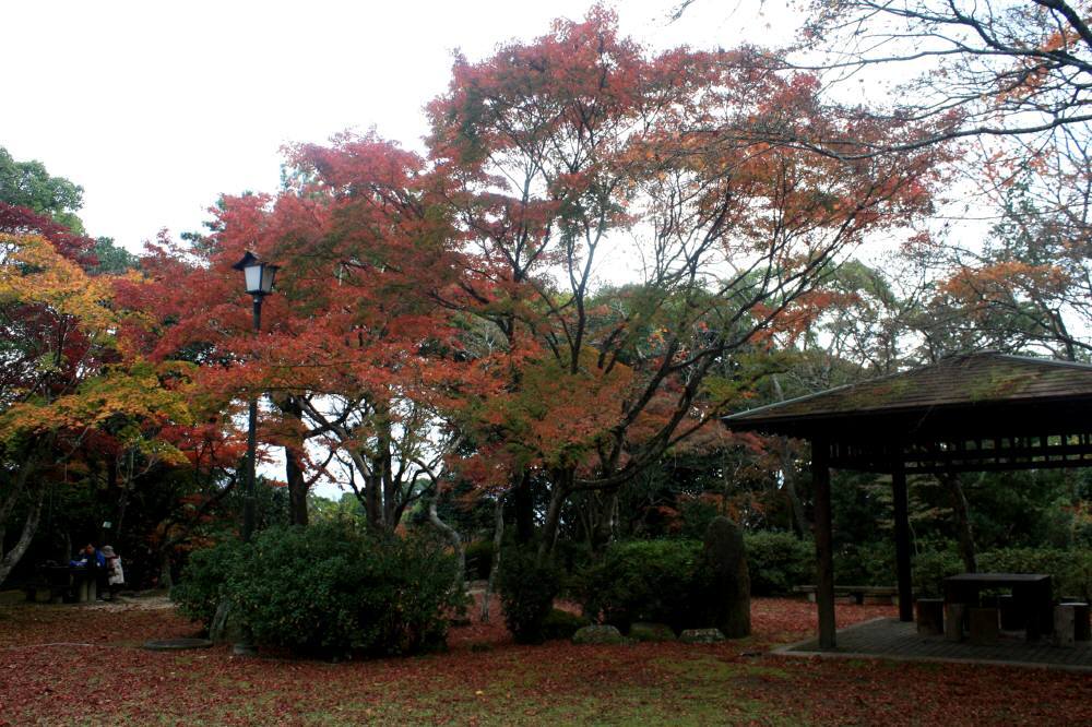 f0212511_21334308.jpg