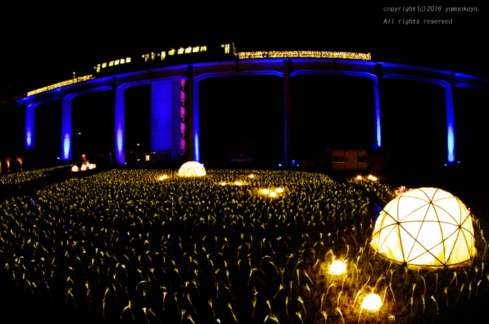 d0309612_00000786.jpg