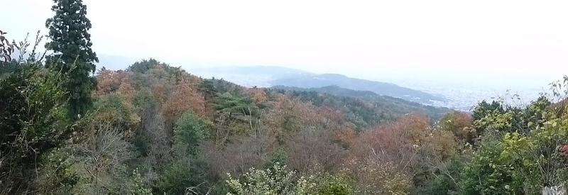 d0170615_17404721.jpg