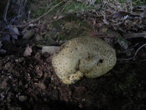 e0352220_23435575.jpg