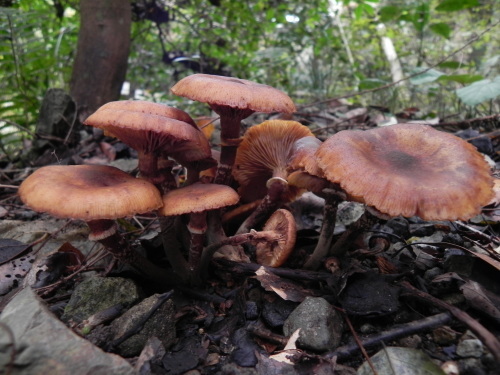 e0352220_23515263.jpg