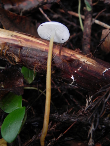e0352220_23530785.jpg