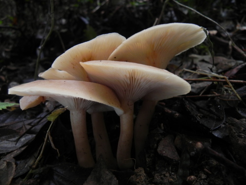e0352220_23540624.jpg