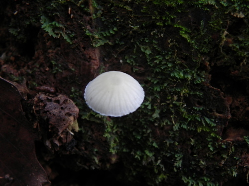 e0352220_23562652.jpg