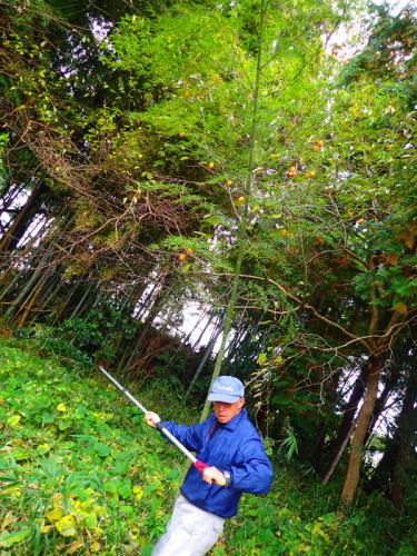 c0034029_23122391.jpg