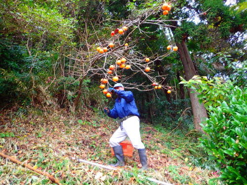 c0034029_23122715.jpg