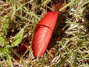 e0033229_18354070.jpg