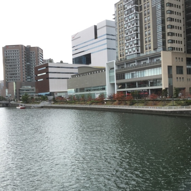 c0103830_20303412.jpg