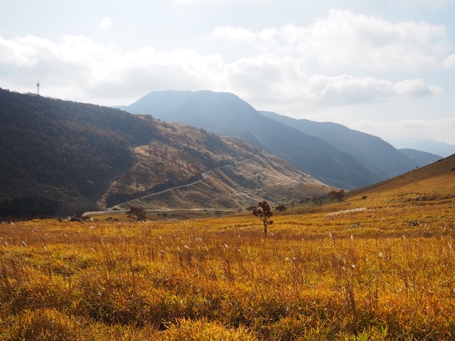 c0117831_10102701.jpg