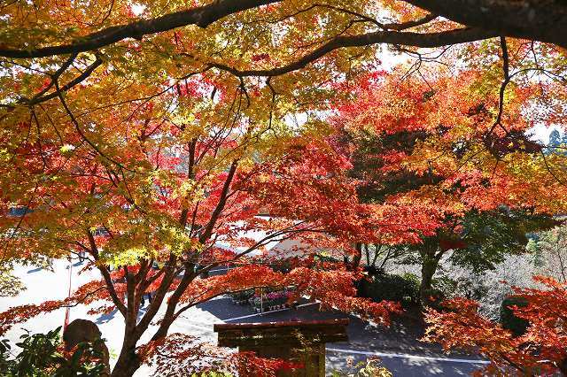 a0242438_21072311.jpg