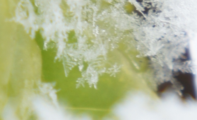 f0368538_06440471.jpg