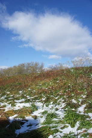 f0368538_11194061.jpg