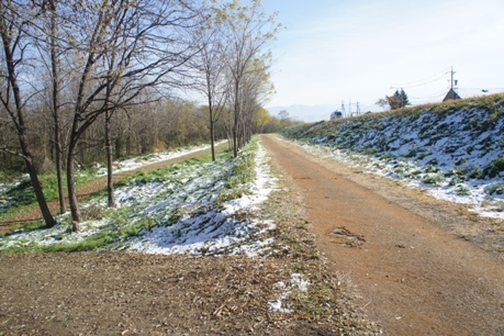 f0368538_11194847.jpg