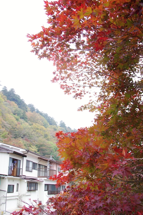 c0281841_13512364.jpg