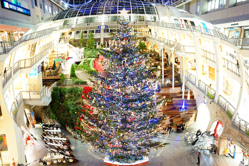 a0112747_10222446.jpg