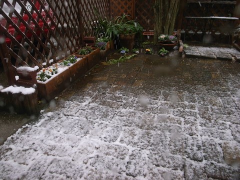 e0138549_08532481.jpg