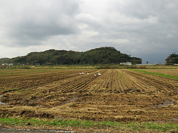 f0214649_5481210.jpg