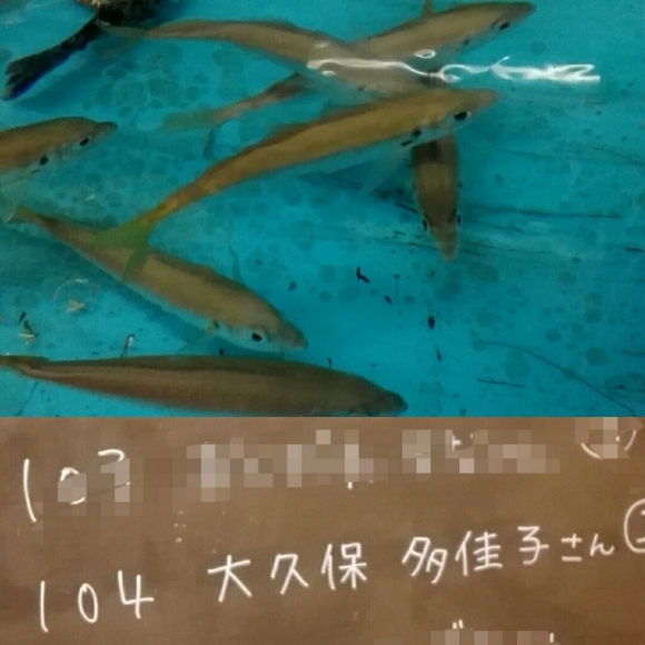 a0057856_21135997.jpg