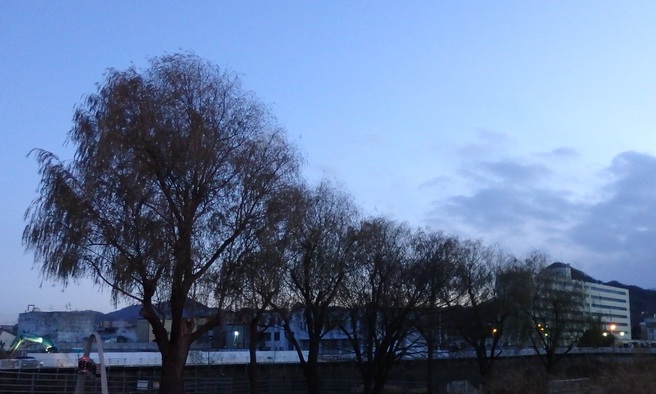 a0193457_17482720.jpg