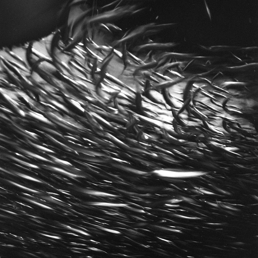 e0264158_14322917.jpg