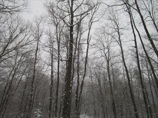 d0045362_20585725.jpg