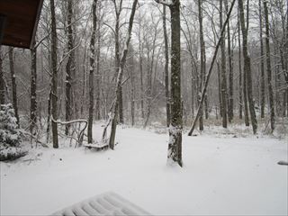 d0045362_20594014.jpg