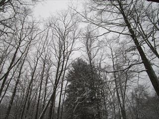 d0045362_20595387.jpg