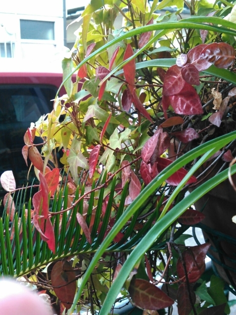c0162773_00480125.jpg