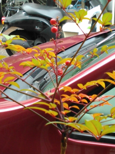 c0162773_00480459.jpg
