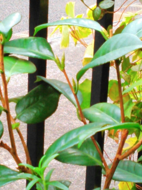 c0162773_00481370.jpg