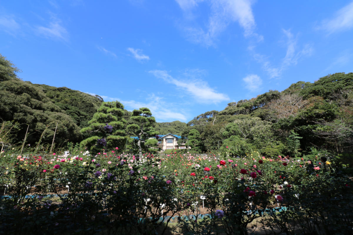 e0182674_221699.jpg
