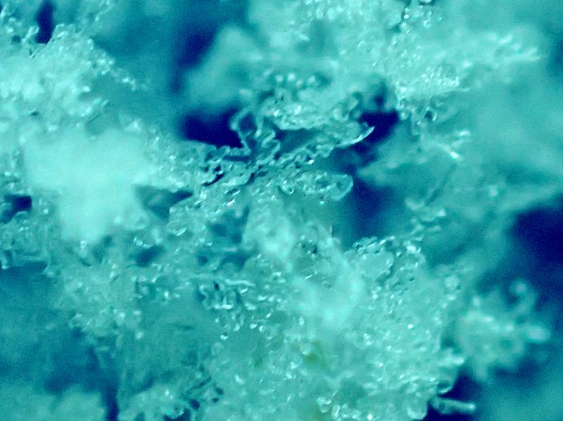 c0183777_10131463.jpg