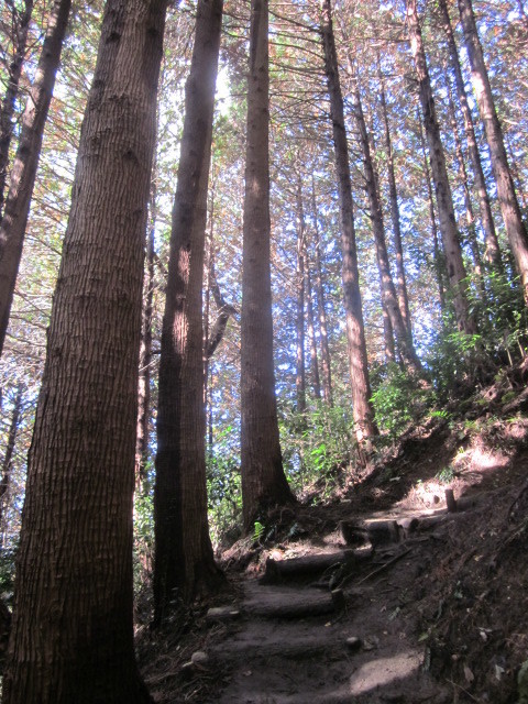 e0295878_22522424.jpg