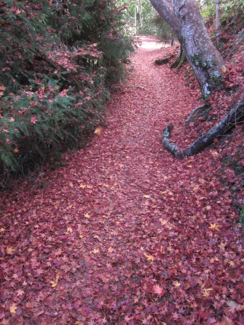 e0295878_22524585.jpg