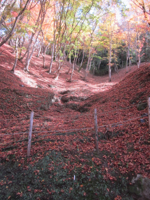 e0295878_22541242.jpg