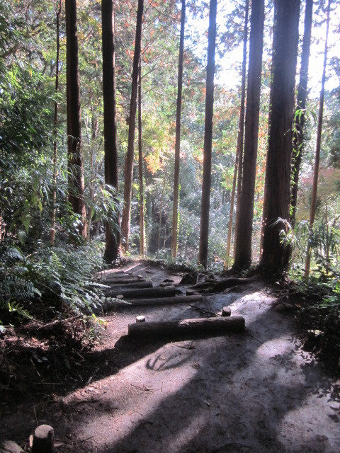 e0295878_22570305.jpg