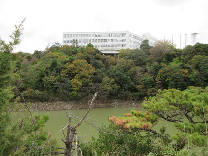 f0053885_20192549.jpg