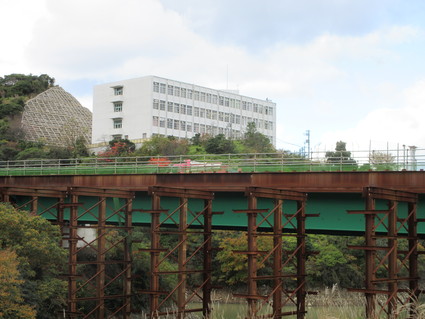 f0053885_20203695.jpg