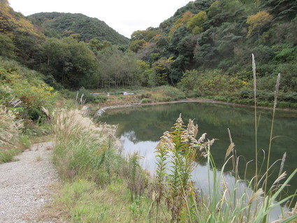f0053885_20213322.jpg