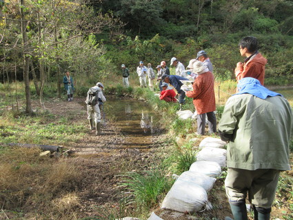 f0053885_2023199.jpg