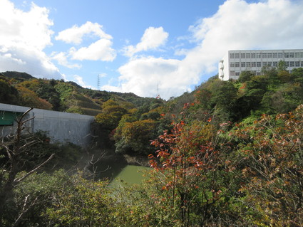 f0053885_20253660.jpg