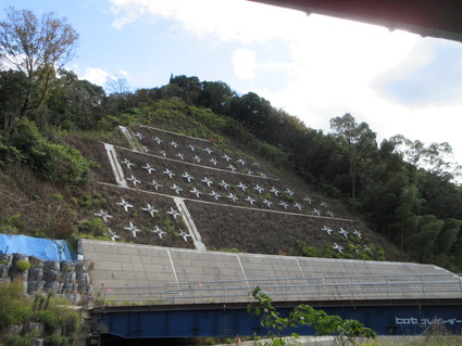 f0053885_20272197.jpg