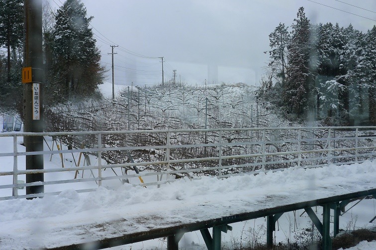 a0130586_20123857.jpg