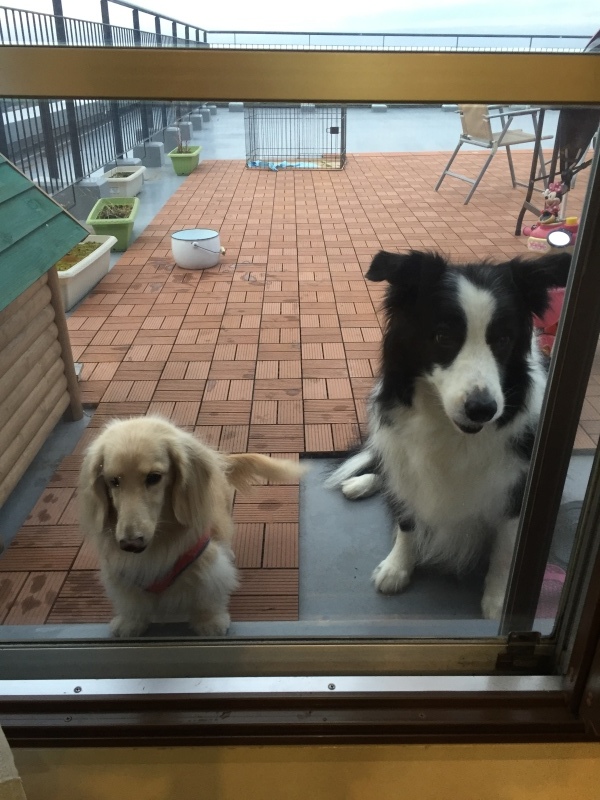 a0358400_22053071.jpeg