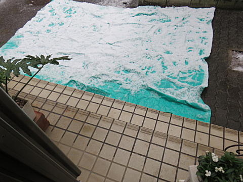 d0046702_6491579.jpg