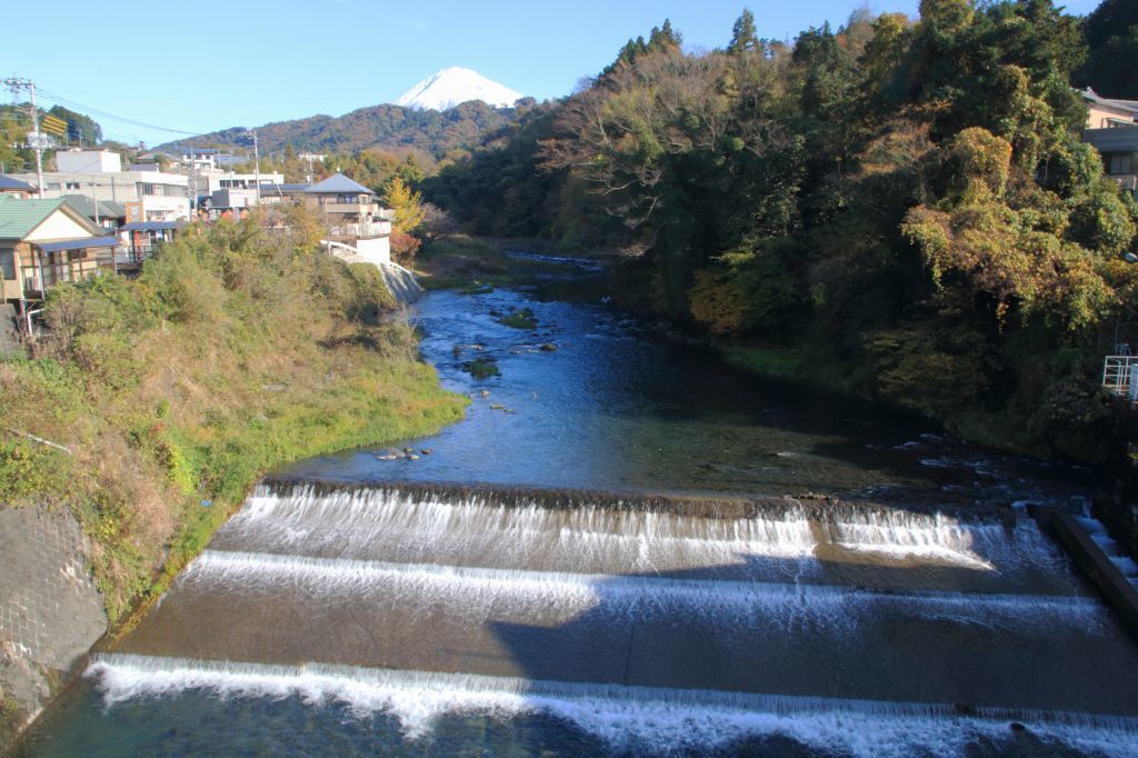 a0188405_17421732.jpg