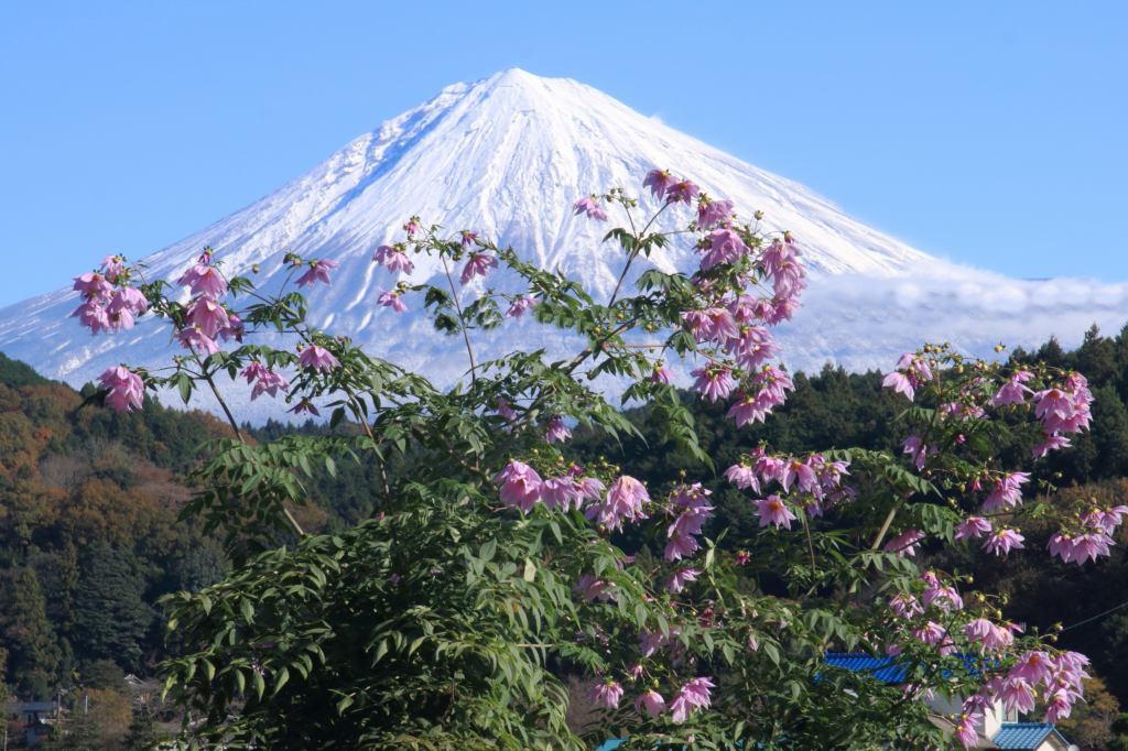 a0188405_17553000.jpg