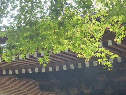 b0125808_22304480.jpg