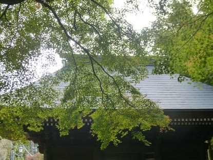 b0125808_22305217.jpg