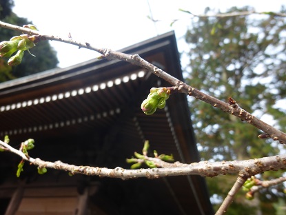 b0125808_2231681.jpg